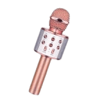 HANDHELD KTV Wireless Microphone