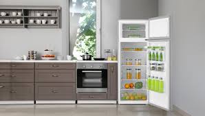 VIVAX HOME frižider DD-235E S - Slika 2